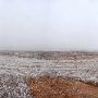 Mendota Ranch