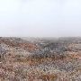 Mendota Ranch