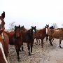 Mendota Ranch