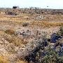 Odessa Meteor Crater Museum