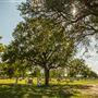 Clairette Cemetery