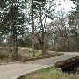 Hyatt Regency Lost Pines Resort & Spa - Wolfdancer Golf Club