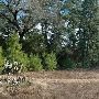 McKinney Roughs Nature Park