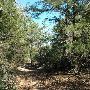 McKinney Roughs Nature Park