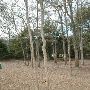 Hyatt Regency Lost Pines Resort & Spa
