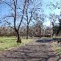 Buescher State Park