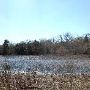 Buescher State Park
