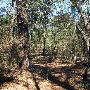 Buescher State Park