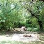 Olmos Basin