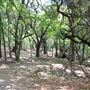 Judson Nature Trails