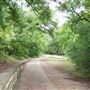 Brackenridge Park