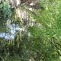 Pecan Creek Trail