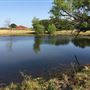 Starry Trail Ranch
