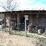 Pioneer Farms