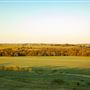Two Wishes Ranch