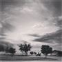 Two Wishes Ranch