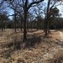 Texas Frontier Trails Western Heritage Park