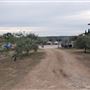 Texas Hill Country Olive Company