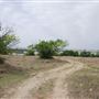 Marion Sansom Park