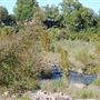 Hwy 16 Bridge over Llano River