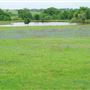 Morford Ranch