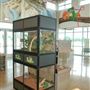 Delores Fenwick Nature Center