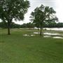 Kitty Hollow Park