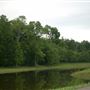 Kitty Hollow Park