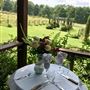 Sabor A Pasion Estate & Vineyard