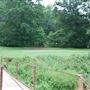 Wildcat Golf Course