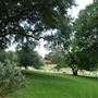 Reagan Park