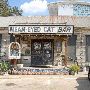 Mean Eyed Cat