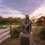 City of San Marcos Murals & Art