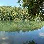 Red Bud Isle