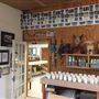 Eye of the Dog Art Center