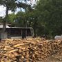 San Marcos BBQ