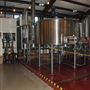 Save the World Brewing Company