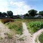 Sunken Garden Park