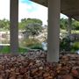 Concho River