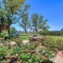 Music Hill Ranch