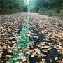 Trail de Paris