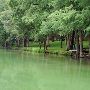 Spoke Hollow Road Dam