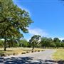 Confederate Reunion Grounds State Historic Site