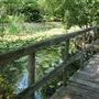 Clark Gardens Botanical Park