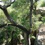 Lake Mineral Wells State Park