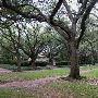 Broadacres Neighborhood - Between North and South Blvd