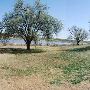 Mackenzie Park