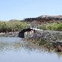 Buffalo Springs Lake