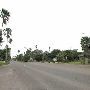 Palm Boulevard Neighborhood