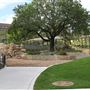 Waterloo Park